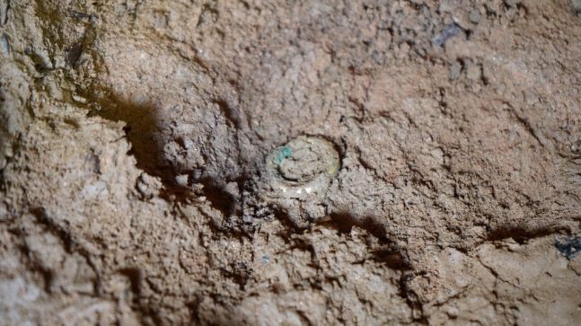 부여 응평리 백제 고분에서 발견된 금동제 귀걸이. 국립부여문화재연구소 제공