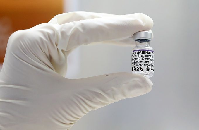 화이자의 신종 코로나바이러스 감염증(코로나19) 백신. 뉴스1