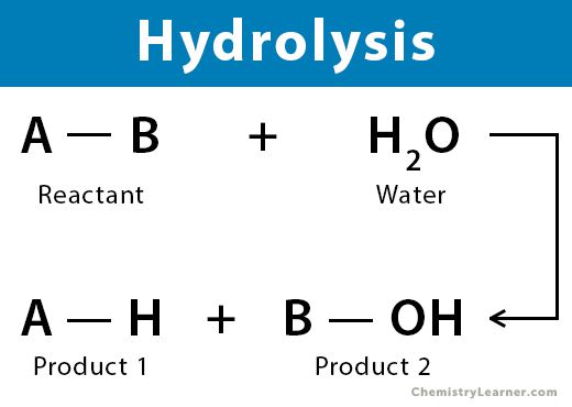 가수분해 예시. 출처=: chemistrylearner.com)