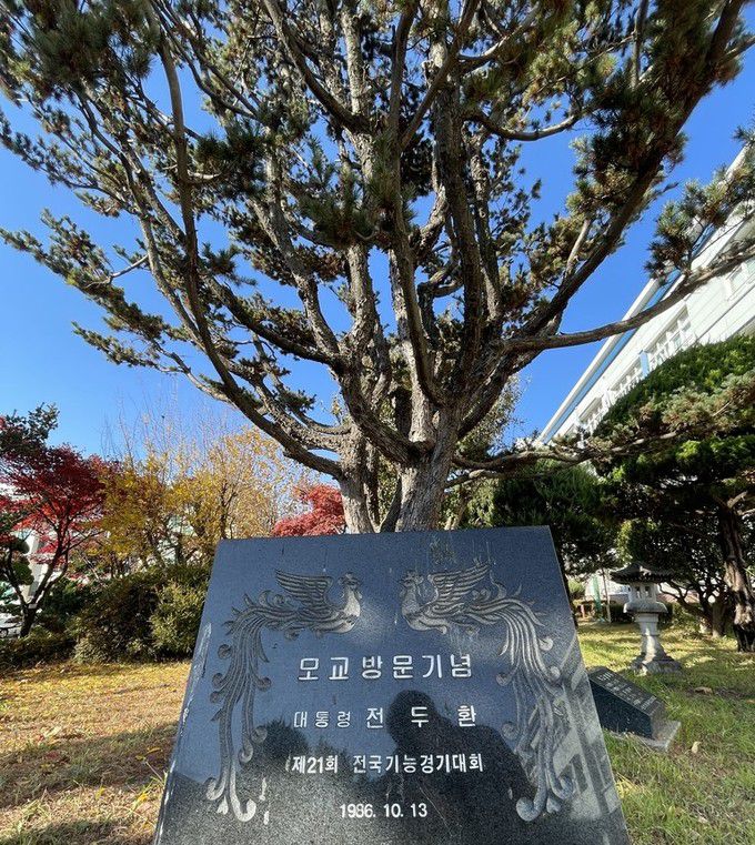 전두환 전 대통령이 재임 중 1986년 모교인 대구공고 교정에 심은 나무. 연합뉴스