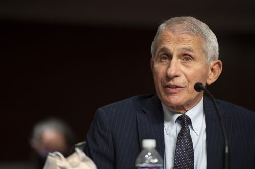 앤서니 파우치 국립알레르기·전염병연구소(NIAID) 소장은 코로나19 오미크론 변이에 대응해 코로나19 부스터샷 접종을 거듭 강조했다. UPI=연합뉴스