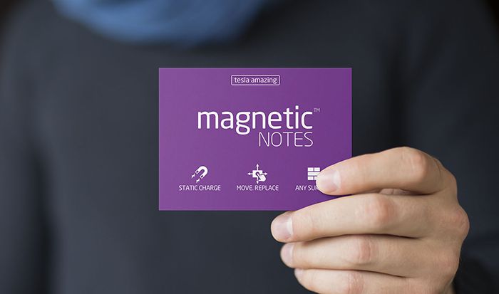 출처=teslaamazing.com