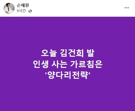 손혜원 전 의원이 자신의 페이스북에 올린 글. 페이스북 캡처