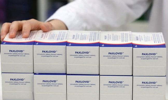 먹는 치료제 ‘팍스로비드’. 뉴스1