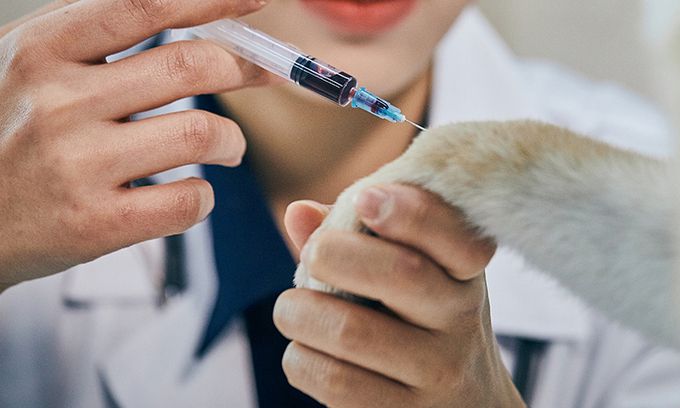 사진=게티이미지뱅크