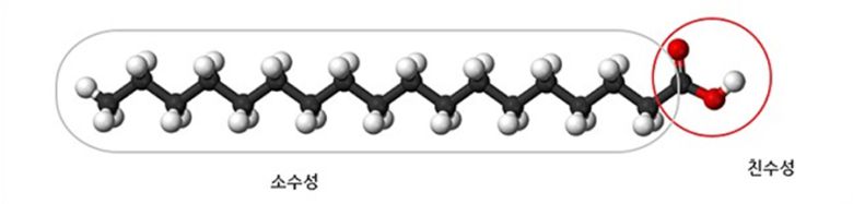 출처=네이버 지식백과