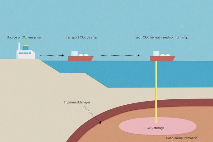 출처=www.u-tokyo.ac.jp