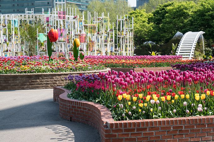 고양국제꽃박람회 홈페이지 캡처.