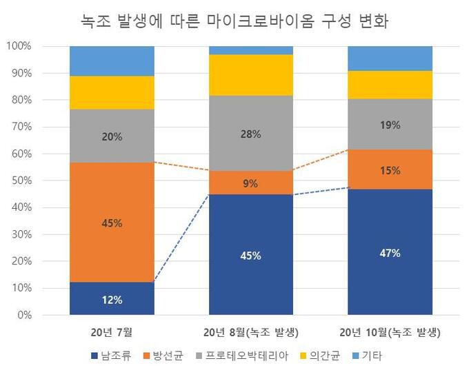 환경부 국립생물자원관 연구결과, 대청호 회남 지점에서 녹조 발생 전(2020년 7월)과 후(2020년 8·10월)를 비교 분석한 결과 남조류가 약 4배 증가하고, 방선균은 20% 수준으로 낮아진 모습이다. 환경부 제공
