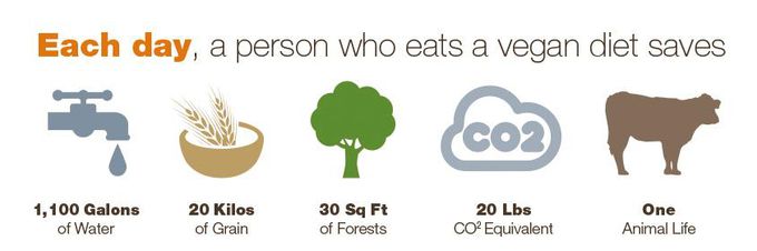 육식을 줄일 때 얻을 수 있는 친환경 효과. 출처=goveganbevegan.com