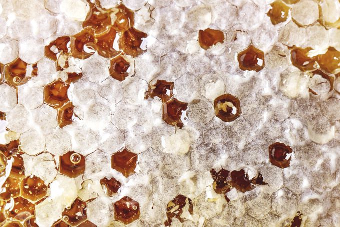 비즈왁스(밀랍)와 프로폴리스의 재료가 되는 벌꿀 집