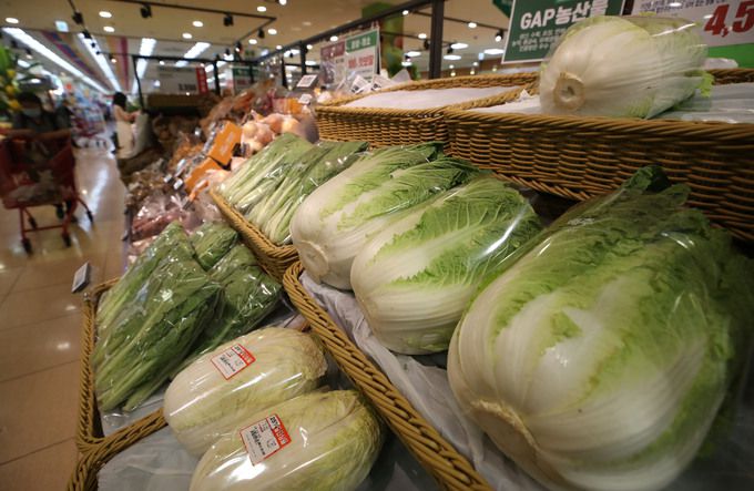 지난 11일 오후 서울 시내 한 대형마트에서 소비자들이 장을 보고 있다. 뉴시스