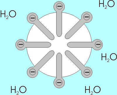 계면활성제의 모형. 출처=위키백과
