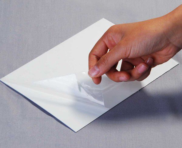 PET 필름. 출처=www.windowfilmtint.co.uk/blog