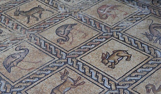 농장에서 발견된 모자이크 장식. 동물의 형상이 묘사돼있다. 가자=AFP연합