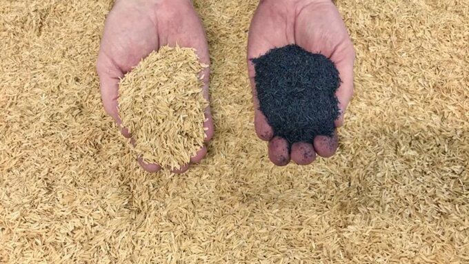 왕겨와 왕겨로 만든 필터(오른쪽 손). 출처=www.filtsep.com