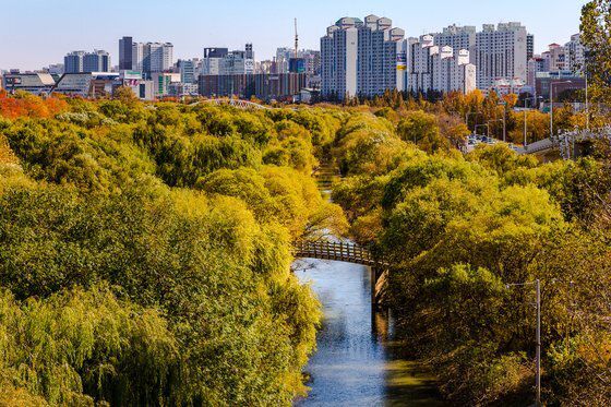 단풍이 든 여의도 샛강 모습. 서울관광재단 제공