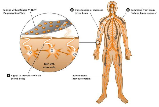 몸의 회복을 돕는 베넥스의 원리. 출처=www.regenerationforyou.eu