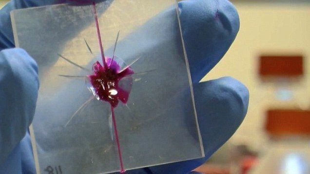 자가치유 플라스틱. 출처=whitegroup.beckman.illinois.edu