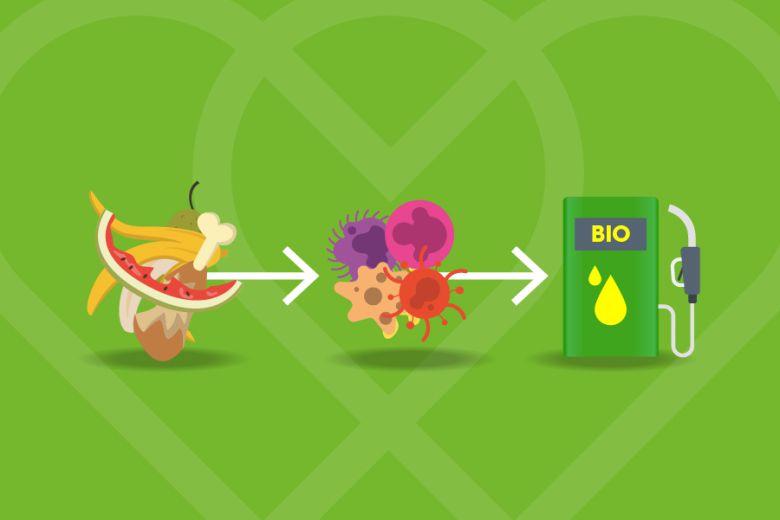 출처=warrens-group.com