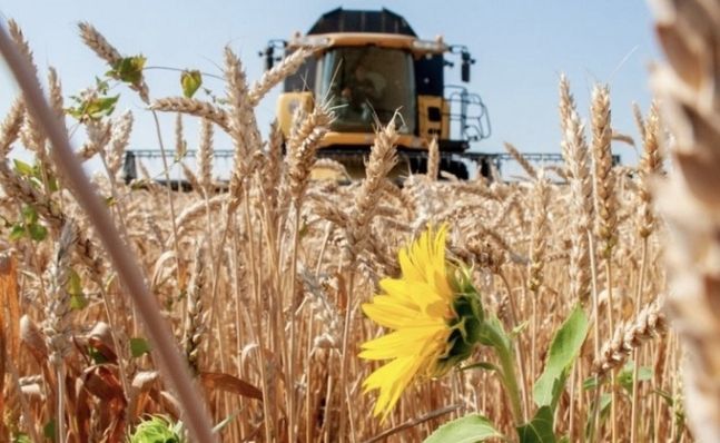 우크라이나를 ‘유럽의 빵바구니’로 불리게 만든 비옥한 곡창지대 풍경. 포노마렌코 대사 SNS 캡처