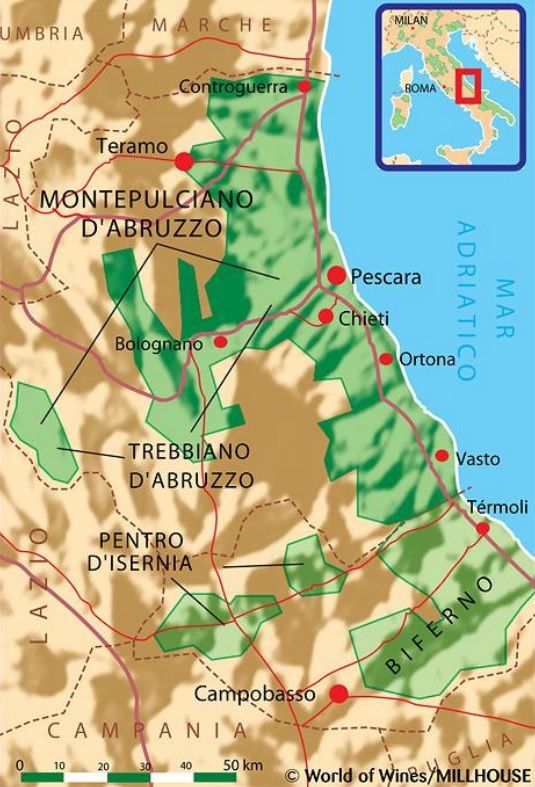 바다와 인접한 아브루쪼 포도밭. 홈페이지