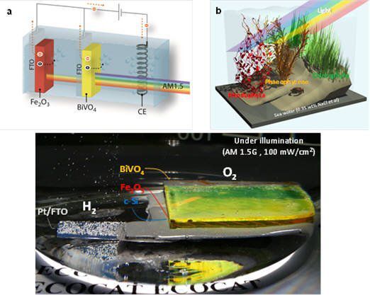 이재성 울산과학기술원 에너지 및 화학공학부 교수팀이 개발한 인공 나뭇잎 광합성 원리를 설명한 이미지