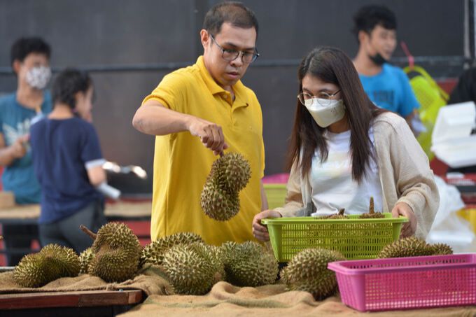 태국인이 방콕에서 열대과일 두리안을 고르고 있다. 방콕=신화통신·연합뉴스