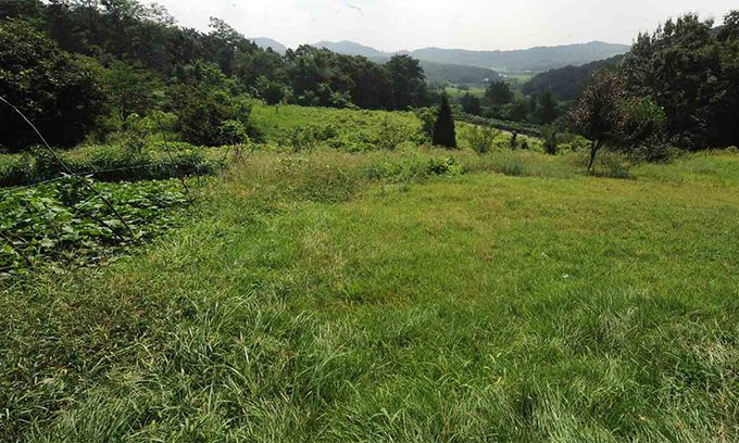 연합뉴스TV 캡처.