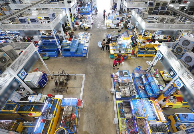 3일 경기 수원시 권선구 수원시농수산물도매시장 수산동이 한산한 모습을 보이고 있다. 뉴스1