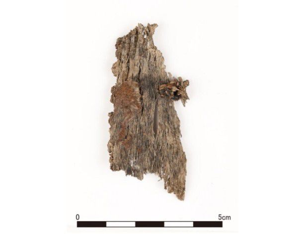 금동관 주변에서 나온 머리카락. 국립경주문화재연구소 제공