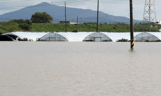 지난 16일 충남 논산천 제방 붕괴 현장 인근에 있는 비닐하우스가 물에 잠긴 모습. 연합뉴스