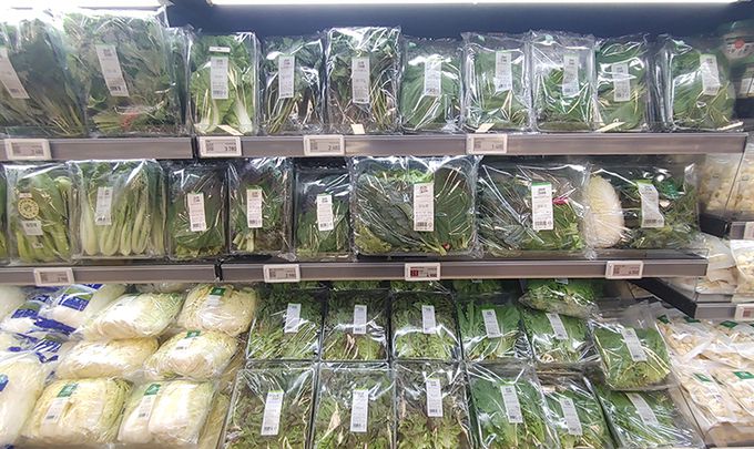 계속되는 폭우에 채소 가격이 상승한 가운데 지난 18일 서울 시내 한 대형 마트 채소 코너.