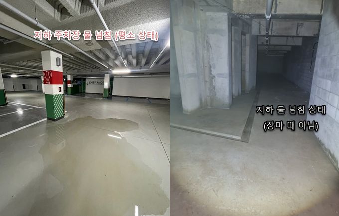 온라인 커뮤니티 캡처