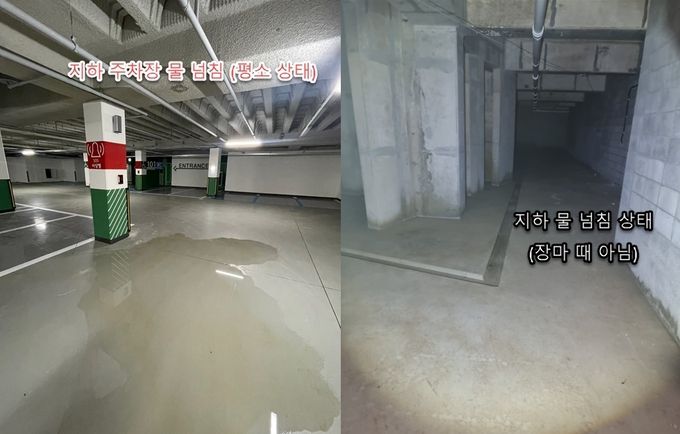 온라인 커뮤니티 캡처