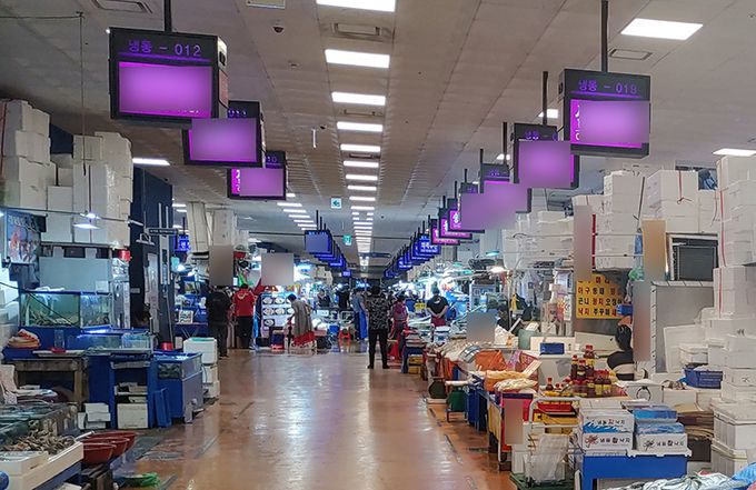 일본 정부가 24일 후쿠시마 오염수를 해양에 방류하기로 한 가운데 23일 정오쯤 서울 노량진수산물도매시장(노량진시장)이 한산한 모습을 보이고 있다.