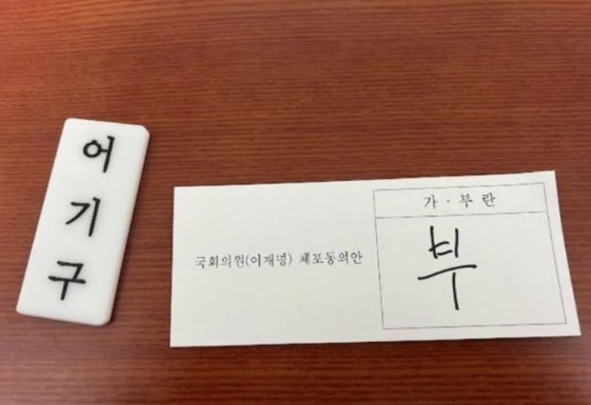 어기구 민주당 의원의 체포동의안 투표용지 인증 사진. 이재명 대표 팬카페 ‘재명이네마을’ 갈무리