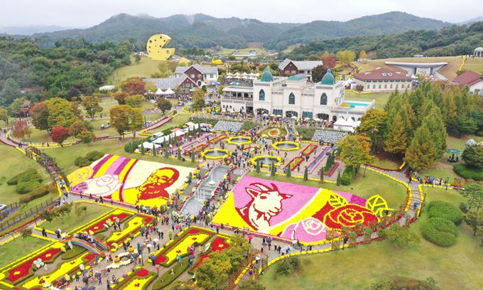 임실N치즈축제를 앞두고 형형색색 국화로 새 단장한 임실치즈테마파크 일대 전경. 임실군 제공