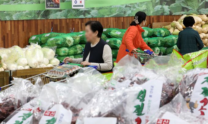 지난 18일 서울 시내 한 대형마트에서 고객이 배추, 무 등 김장 재료를 보고 있다. 뉴시스