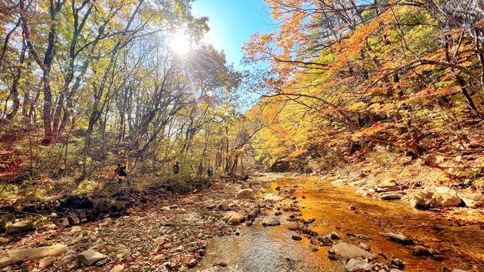 설악산 마산봉~마장터 옛길.