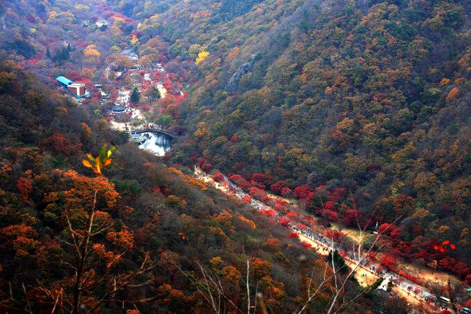 내장산 유군치.