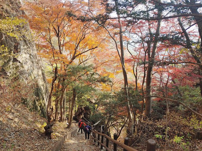 백암산 백양사 옛길.