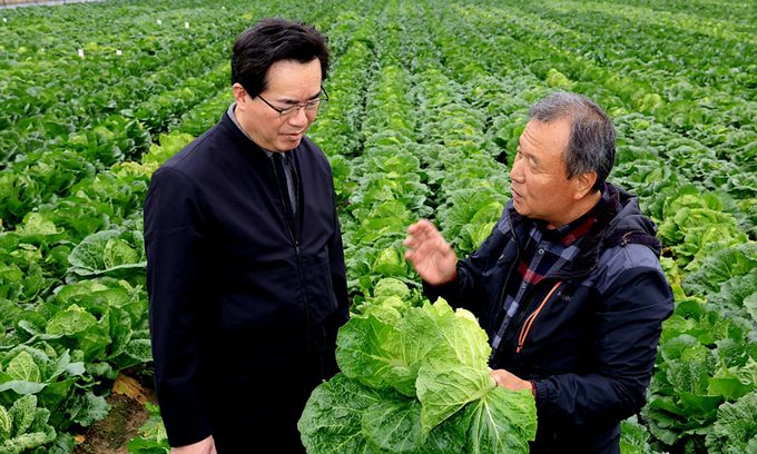 정황근 농림축산식품부 장관이 지난 5일 배추 주 출하 지역인 충남 아산시 김장용 가을배추 밭을 방문해 작황 점검하고 있다. 농림축산식품부 제공