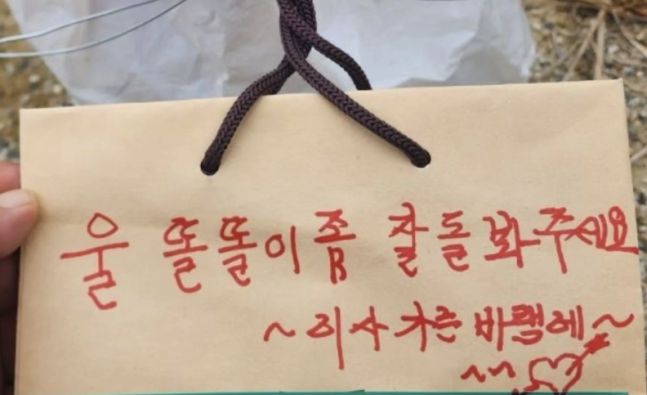 동물보호연대 제공.