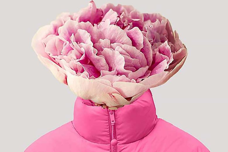 출처=판게아(PANGAIA)