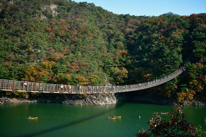 옥순봉 출렁다리. 최현태 기자