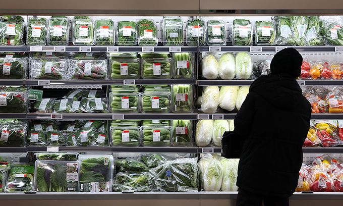 6일 서울의 한 대형마트에 진열된 채소류 모습. 뉴시스