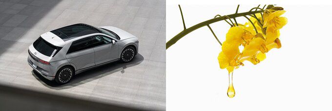 식물성 바이오 오일 도료가 사용된 ‘아이오닉5’. 출처=현대자동차