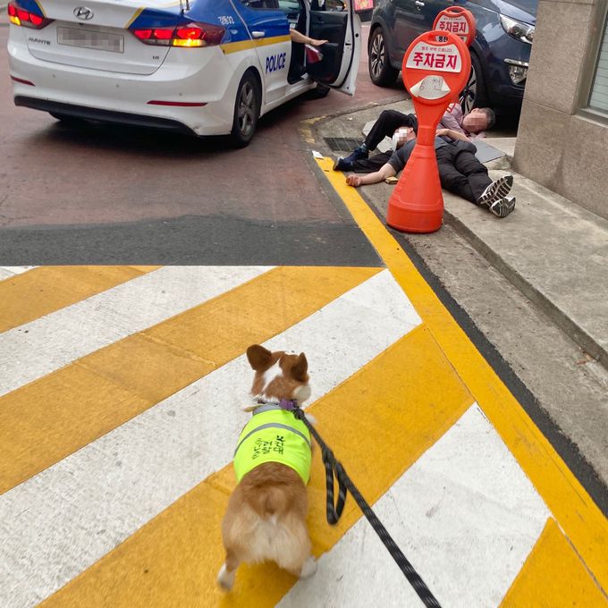 순찰 중 주취자를 발견해 경찰에 신고한 서울 반려견 순찰대. 서울시 제공