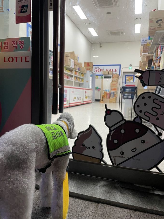 야간 무인점포를 살펴보는 서울 반려견 순찰대. 서울시 제공